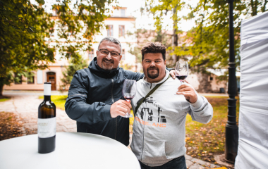 17.9.2022 V sobotu 17. září se konal v Písku druhý ročník festivalu vína.  Fanouškům dobrého vína se v Palackého sadech představilo dvacet pečlivě vybraných vinařství z Čech a Moravy.  Vystoupila Cimbálová muzika Alexandra Vrábela, skupina Like-it a DJ Meli. 