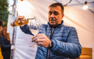 17.9.2022 V sobotu 17. září se konal v Písku druhý ročník festivalu vína.  Fanouškům dobrého vína se v Palackého sadech představilo dvacet pečlivě vybraných vinařství z Čech a Moravy.  Vystoupila Cimbálová muzika Alexandra Vrábela, skupina Like-it a DJ Meli. 