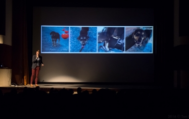 23.2.2016 