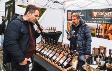 17.9.2022 V sobotu 17. září se konal v Písku druhý ročník festivalu vína.  Fanouškům dobrého vína se v Palackého sadech představilo dvacet pečlivě vybraných vinařství z Čech a Moravy.  Vystoupila Cimbálová muzika Alexandra Vrábela, skupina Like-it a DJ Meli. 
