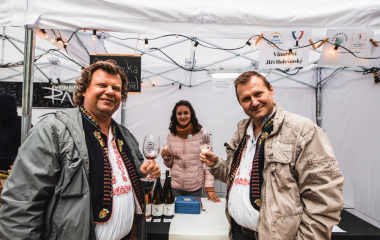 17.9.2022 V sobotu 17. září se konal v Písku druhý ročník festivalu vína.  Fanouškům dobrého vína se v Palackého sadech představilo dvacet pečlivě vybraných vinařství z Čech a Moravy.  Vystoupila Cimbálová muzika Alexandra Vrábela, skupina Like-it a DJ Meli. 