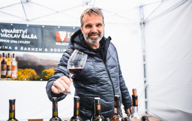 17.9.2022 V sobotu 17. září se konal v Písku druhý ročník festivalu vína.  Fanouškům dobrého vína se v Palackého sadech představilo dvacet pečlivě vybraných vinařství z Čech a Moravy.  Vystoupila Cimbálová muzika Alexandra Vrábela, skupina Like-it a DJ Meli. 