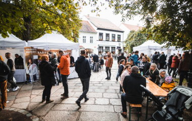17.9.2022 V sobotu 17. září se konal v Písku druhý ročník festivalu vína.  Fanouškům dobrého vína se v Palackého sadech představilo dvacet pečlivě vybraných vinařství z Čech a Moravy.  Vystoupila Cimbálová muzika Alexandra Vrábela, skupina Like-it a DJ Meli. 