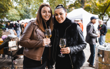 17.9.2022 V sobotu 17. září se konal v Písku druhý ročník festivalu vína.  Fanouškům dobrého vína se v Palackého sadech představilo dvacet pečlivě vybraných vinařství z Čech a Moravy.  Vystoupila Cimbálová muzika Alexandra Vrábela, skupina Like-it a DJ Meli. 