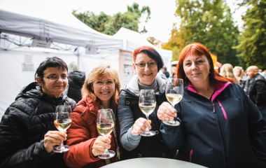 17.9.2022 V sobotu 17. září se konal v Písku druhý ročník festivalu vína.  Fanouškům dobrého vína se v Palackého sadech představilo dvacet pečlivě vybraných vinařství z Čech a Moravy.  Vystoupila Cimbálová muzika Alexandra Vrábela, skupina Like-it a DJ Meli. 