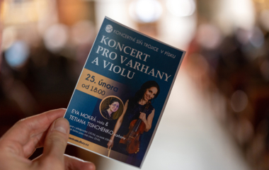 Koncert pro varhany a violu